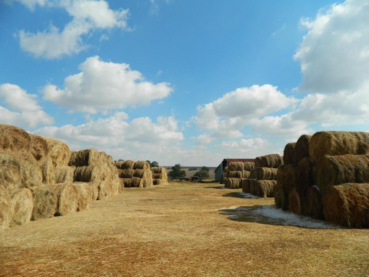 La Vista Farm Stay Ермело Екстер'єр фото