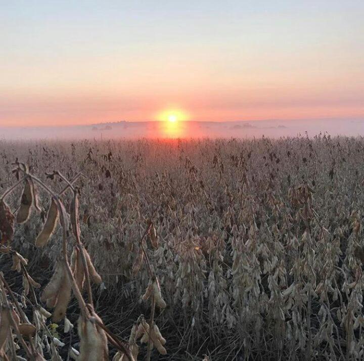 La Vista Farm Stay Ермело Екстер'єр фото