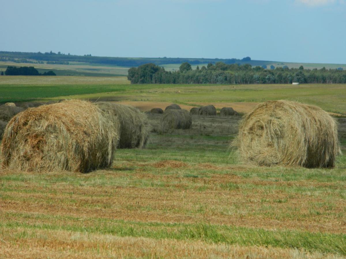 La Vista Farm Stay Ермело Екстер'єр фото